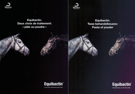 Equibactin Powder Launch (20 stuks) | Dechra